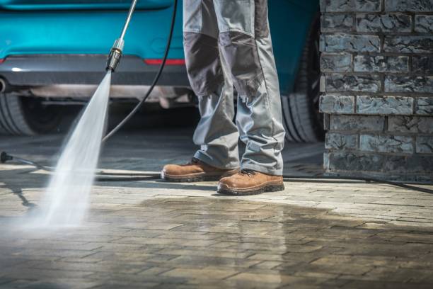 Best Gutter Cleaning  in Oregon, IL