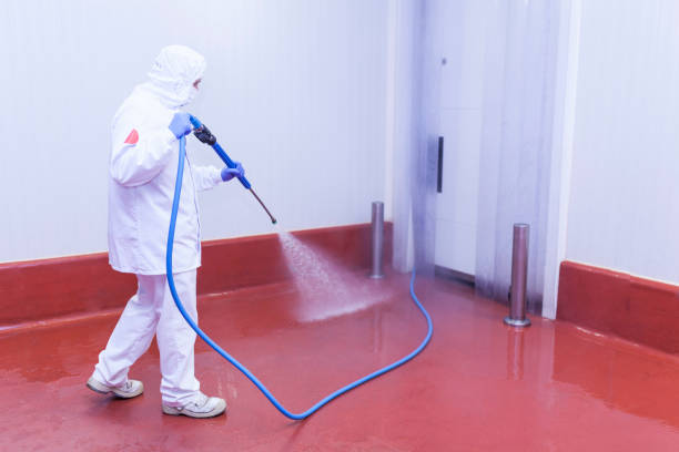  Oregon, IL Pressure Washing Pros