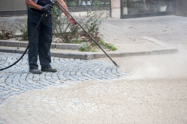 Best Pre-Holiday Cleaning  in Oregon, IL