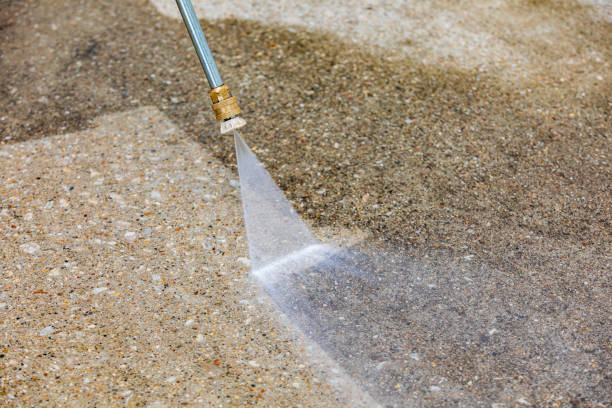 Best Soft Washing  in Oregon, IL